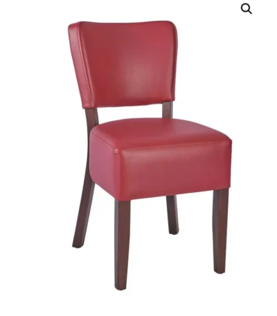 Dinning chair1