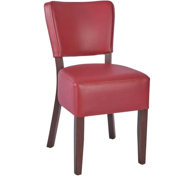 Dinning chair1