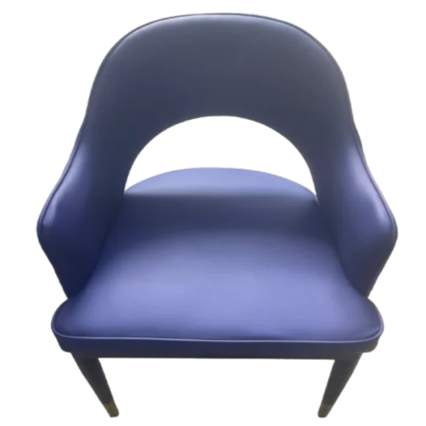 Modern Blue Dining Chair