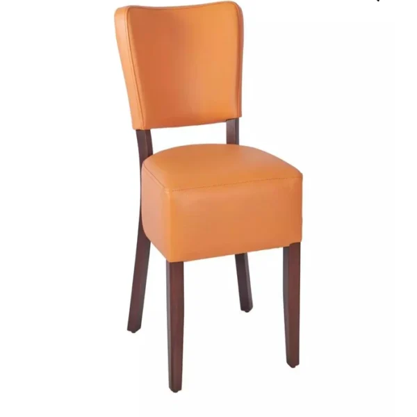 dinning chair 4